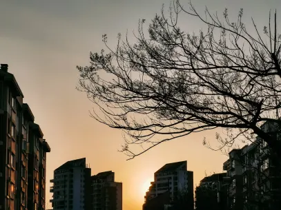 MegaReel Cazino Cazinou Aplicație mobilă